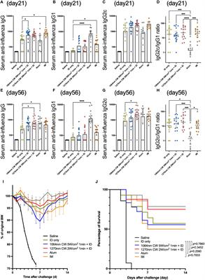 Corrigendum: 1270 nm near-infrared light as a novel vaccine adjuvant acts on mitochondrial photoreception in intradermal vaccines